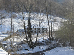 Kopaonik Family House 